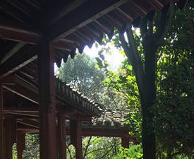 校園公園一角 